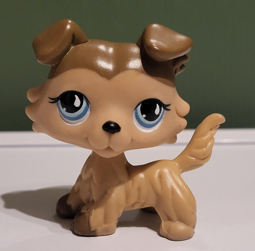 When the story was first written, it was supposed to be an LPS series. When it became drawn, Rye was designed after this collie.